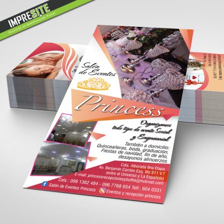 FLYER PRINCESS